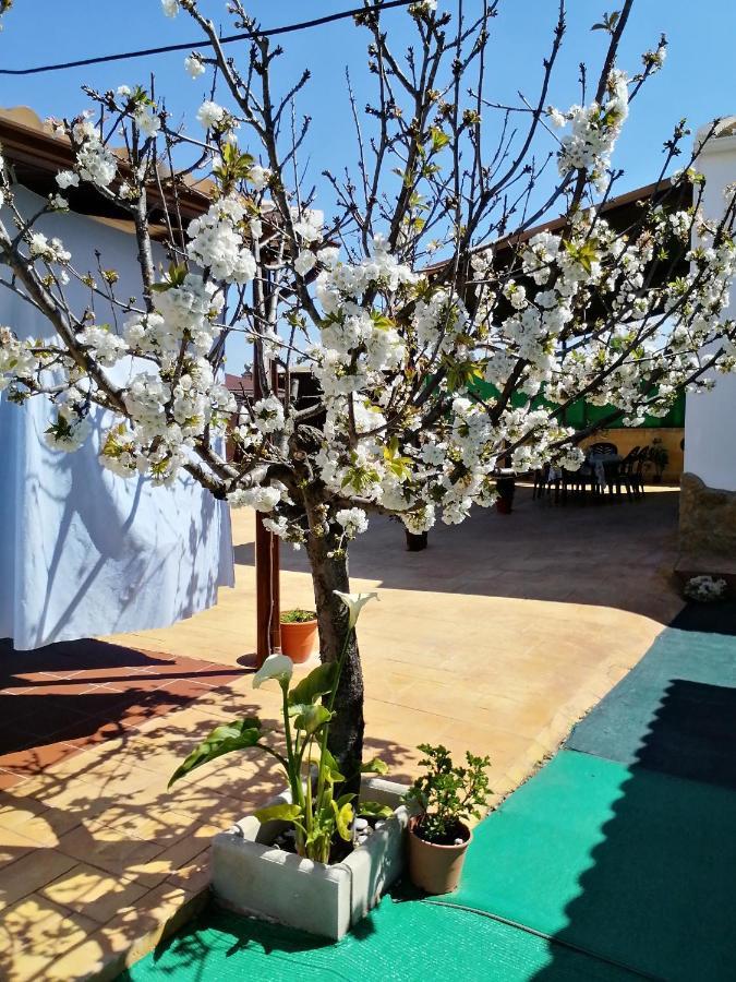Conjunto Rural Andrea Guest House Moriles Exterior foto